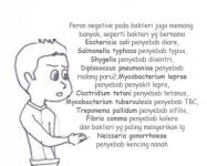 bakteri 10.jpg