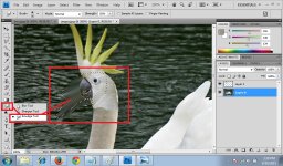 06. Angsabeohead.jpg