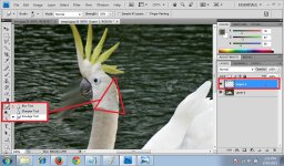 07. Angsabeohead.jpg