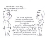 bakteri 12.jpg