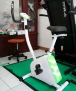 Sepeda Magnetik Bfit Hijau 8.jpg