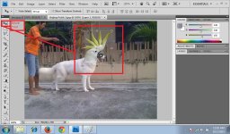 04. DogBeoHead.jpg