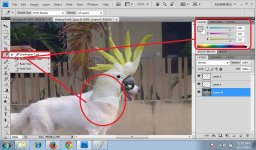 05. DogBeoHead.jpg