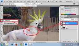 06. DogBeoHead.jpg