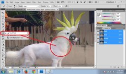07. DogBeoHead.jpg
