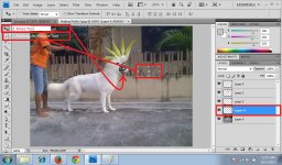 08. DogBeoHead.jpg