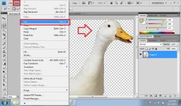 02. BananaDuck.jpg