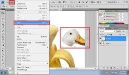 03. BananaDuck.jpg