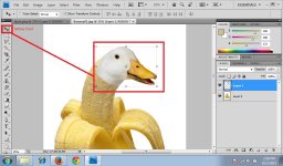 04.BananaDuck.jpg