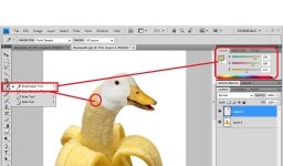 05.BananaDuck.jpg