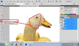 07. BananaDuck.jpg
