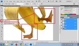 09.BananaDuck.jpg