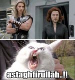 meme avenger 8.jpg