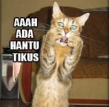 meme singkat 19.jpg