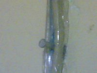 foto kabel paku solasi 1.jpg