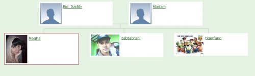 family tree.jpg