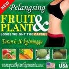 FRUIT PLANT NW.jpeg