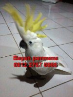 Foto-0009.jpg