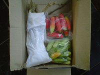 IMG01369-20120508-0806.jpg