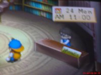 harvest moon back to nature-lybrary.JPG