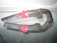 IMG_5042.JPGp.JPG