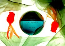 bvlgari aqva.jpg