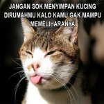 meme 1 (13 mei 2016).jpg