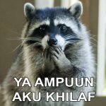 meme 16 (13 mei 2016).jpg