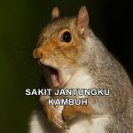meme 17 (13 mei 2016).jpg