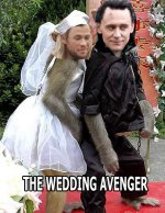 meme avenger 2.jpg
