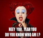 Meme Alice In Wonderland 1.jpg