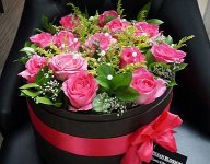 1ShesanBlossom5.jpg