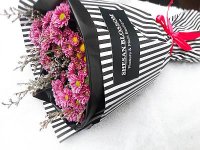 1ShesanBlossom1.JPG