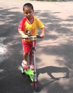 DUAL PEDAL 2.jpg