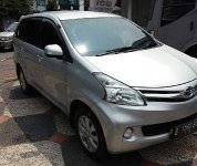 1HelmyXenia1.jpg