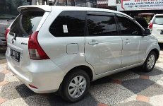 1HelmyXenia3.jpg