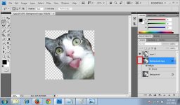 Tutorial menghilangkan background 4.jpg