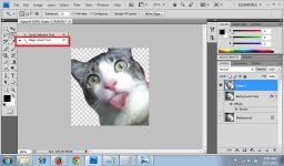 Tutorial menghilangkan background 5.jpg