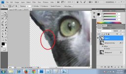 Tutorial menghilangkan background 6.jpg
