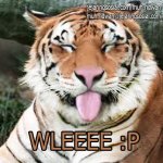 Kumpulan meme Lucu,Gokil,Kocak dan Ngakak 1.jpg