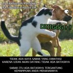 Kumpulan meme Lucu,Gokil,Kocak dan Ngakak 3.jpg
