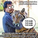 Kumpulan meme Lucu,Gokil,Kocak dan Ngakak 5.jpg