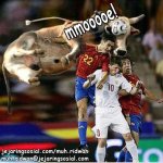 Kumpulan meme Lucu,Gokil,Kocak dan Ngakak 21.jpg