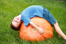 denverbucketlist. com.jpg