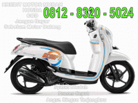 honda scoopy.gif