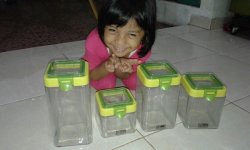 wadah kue 304 (6).jpg