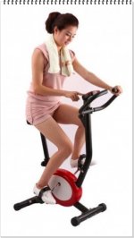 SEPEDA EXCIDER BELT MAGNETIK-horz.jpg