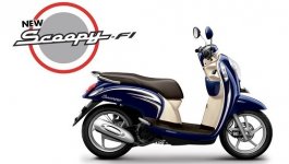scoopy.jpg
