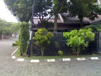 15072009351.jpg