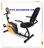 Recumbent  Bike ID 18 R -1.jpg
